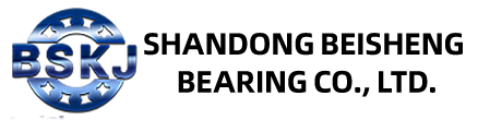https://bskjbearing.com
